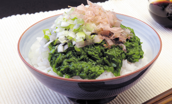 Salmon flakes/Mekabu sea vegetable