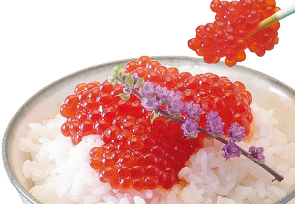 Salmon roe (in egg sack)